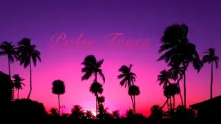 🌿Palm Trees Relaxation Video | Unreal beautiful picture for eyes🌿