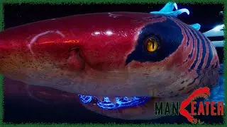 Акула, большая акула | Maneater