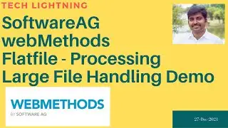 SoftwareAG webMethods | Large Flat file Handling | recordWithNoID | Processing Large Flat file in wM