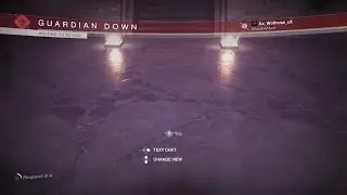 Destiny 2 Weapon glitch