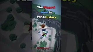 Is This A New TSBG World Record?