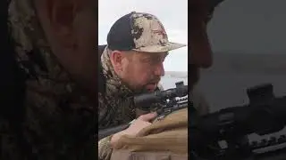 Охота в Хорватии на Европейского муфлона 