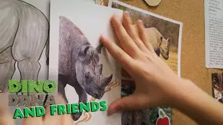 Fun Facts About Black Rhinos! | Jane | Apple TV+