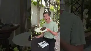 Когда стейк недостаточно прожаренный