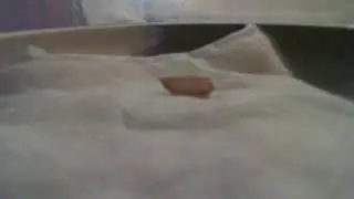 the great garlic stream