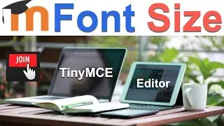 How to Choose the Font Size on TinyMCE on Moodle