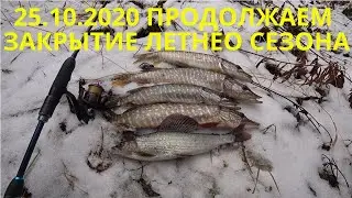 РЫБАЛКА НА СПИННИНГ/ЩУКА/ХАРИУС/ПРОДОЛЖАЕМ ЗАКРЫТИЕ ЛЕТНЕГО СЕЗОНА 2020/РЫБАЛКА НА МАЛОЙ РЕКЕ