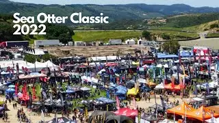 Sea Otter 2022