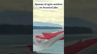 Open work permit options for spouses in Canada | spouse open work permit Canada |