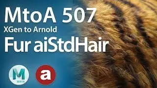 MtoA 507 | XGen Fur with aiStandardHair