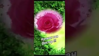 Кутман тан Достор !!!  ,,Баркымды билгендердин эсиндемин