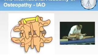 Osteopathic reasoning model