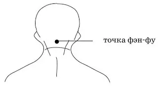 Улучшение работы мозга = оздоровление и омоложение через точку фэн фу