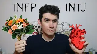 INFP and INTJ - Relationship Advice