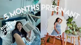 SECOND TRIMESTER UPDATE | bleeding scare at 24 wks, intense nesting, setting up the baby’s nursery!