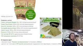 ЛЁГКИЙ СТАРТ в бизнесе на микрозелени.