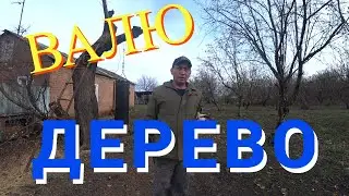 ВАЛЮ ОГРОМНОЕ ДЕРЕВО/СЛОМАЛАСЬ БЕНЗОПИЛА/РАБОТАЮ/