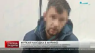 ЖУТКАЯ НАХОДКА В МУРИНО