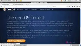 How to use Apache webserver and NGINX webserver in single instance