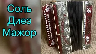 Гармонь из аккордеона!!! В продаже! (Купить гармонь)