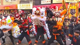 🎉 Best of Lunar New Year 2025 🧨 Chinatown Manhattan NYC 🧧