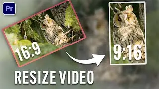 How To Resize Video In Premiere Pro 2023