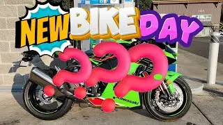 New Bike Day! Bellevue Motosports - Walkaround - The Power!