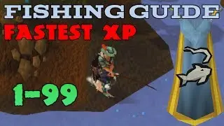 Runescape 1-99 Fishing Guide 2014 - AFK and Fastest XP Methods [P2P & F2P]