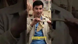 Kurak suyagi