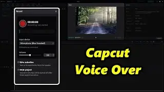 How To Do A Voiceover In Capcut (PC)