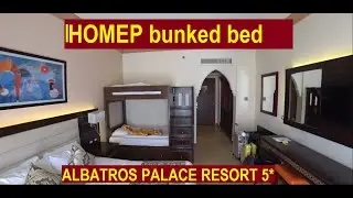Albatros Palace Resort 5* обзор номера заселение 2022