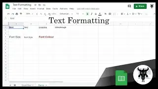 Google Sheets Beginners: Text Formatting  (3)