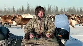 Счастливый как никто. Оленные люди | Ясавэй. Кочевник ХХI века.
