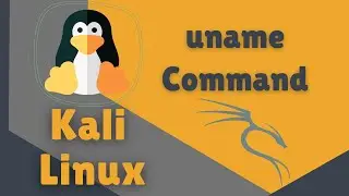 uname Command in Linux Kali and Ubuntu - Interesting and Useful