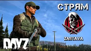 Хотели ПВП?ДЕРЖИТЕ ПВП. DAYZ СТРИМ. Проект ZASTAVA