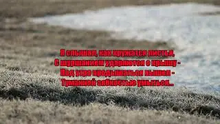 Серия: 
