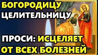 9 октября ПРОСИ СЕГОДНЯ ИСЦЕЛЯЕТ ОТ ВСЕХ БОЛЕЗНЕЙ! Молитва Богородице Целительница. Православие