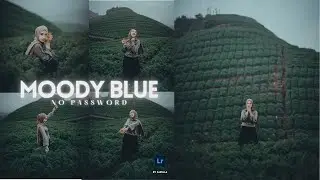 Cara Edit Foto di Lightroom Mobile Moody Blue - Lightroom Mobile Presets Free DNG | Moody Blue Edit