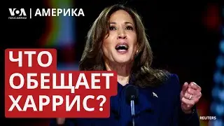 Обещания Харрис. Реакция Трампа. Переговоры Зеленского и Моди. Россия не может вытеснить ВСУ