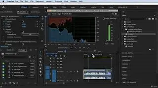 How to Use Heavy Noise Reduction Preset#Adobe Premiere Pro Complete Video Editing Masterclass Udemy