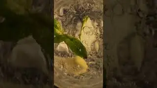 Yaz Seninle Parlasın — Heybej Yaz Koleksiyonu