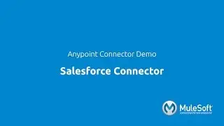 Salesforce Connector Demo: Integration with Mule