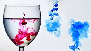 EASY Creative Home Photography Ideas! FOOD DYE and WATER PHOTOGRAPHY!!! (This is so Addicting!!)