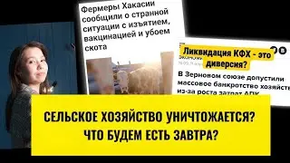 Что будем есть завтра? Разрушение сельского хозяйства.