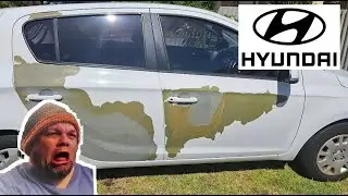 Newer Hyundai Car PAINT Peeling NOT Under Warranty (What to Do) Santa Fe Elantra Sonata Tucson WHITE