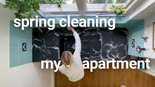 Deep clean my ENTIRE apartment for spring | steam cleaning, organizing & decluttering