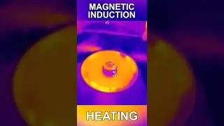 The Power of Magnetic Induction