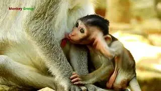 How sweet baby Janna with beautiful milk mom Jane?, Janna is getting milk