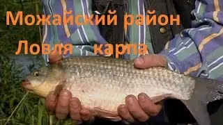 Диалоги о рыбалке - 186 - Ловля карпа. Можайский район, деревня Панфенки.