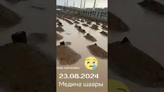 Бул кайсы мүрзөлөр ким билет😥😥😥 билгендер комментарий жазыныз